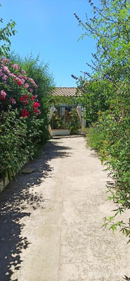Secret Garden: Chez Gilles Et Tra's Charming Zen Retreat Apartment *